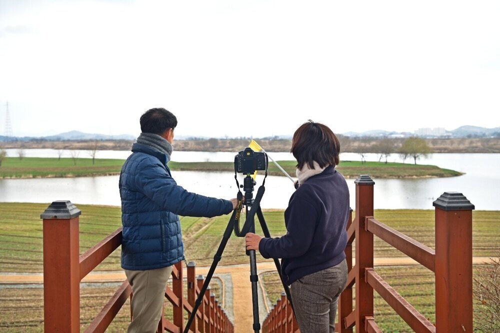 나주시, 영산강 꽃단지 사진 명소 만든다 - 문화 뉴스 | 코리아NEWS