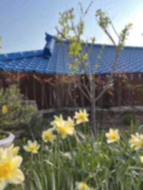 철문 넘어 보이는 집 철문 넘어 보이는 집