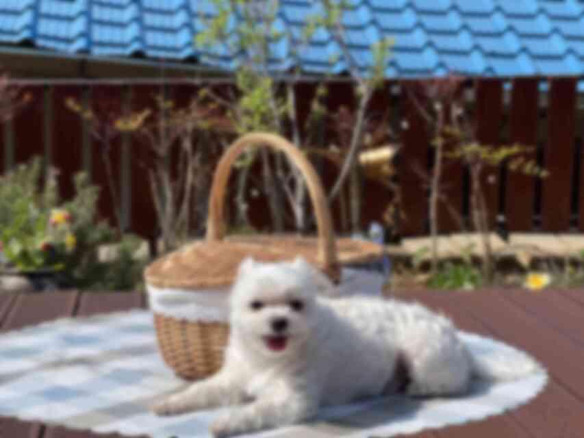 철문 넘어 보이는 집 철문 넘어 보이는 집