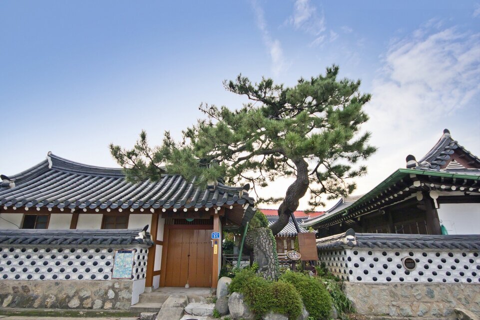 이로당과 소나무