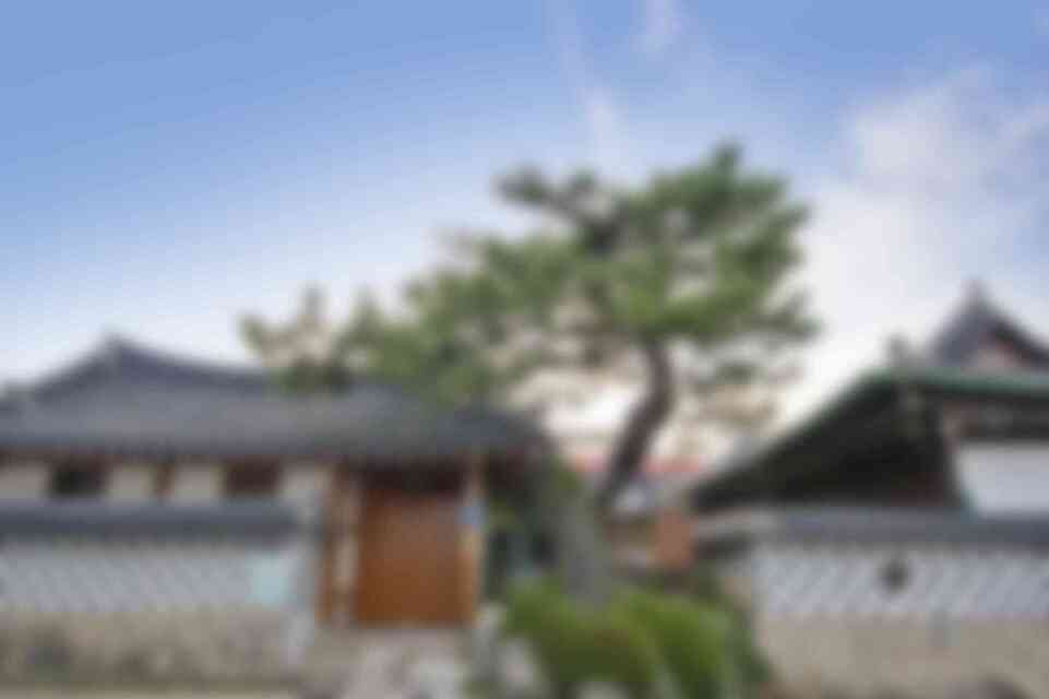 이로당과 소나무