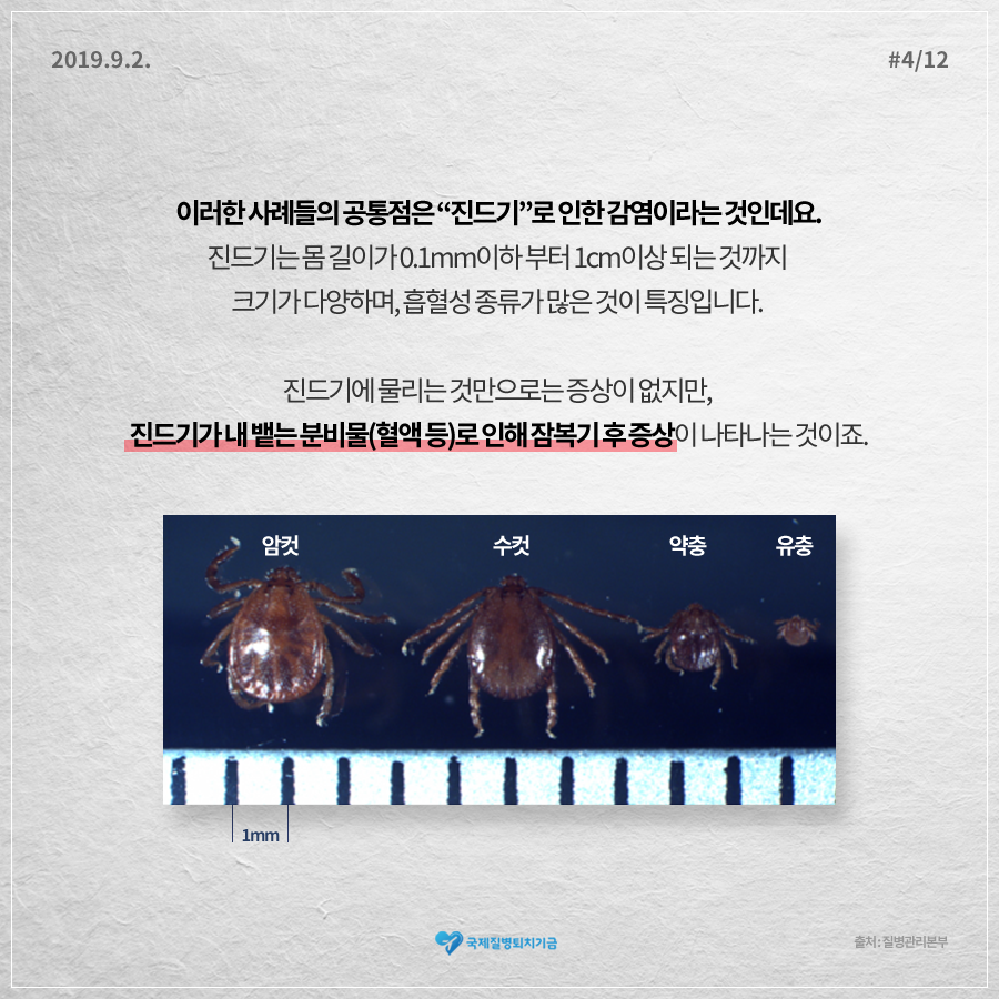 진드기가 내뱉는 분비물로 인한 증상