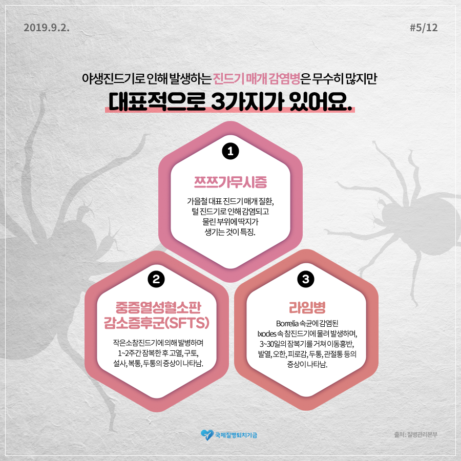 진드기 매개 감염병의 종류