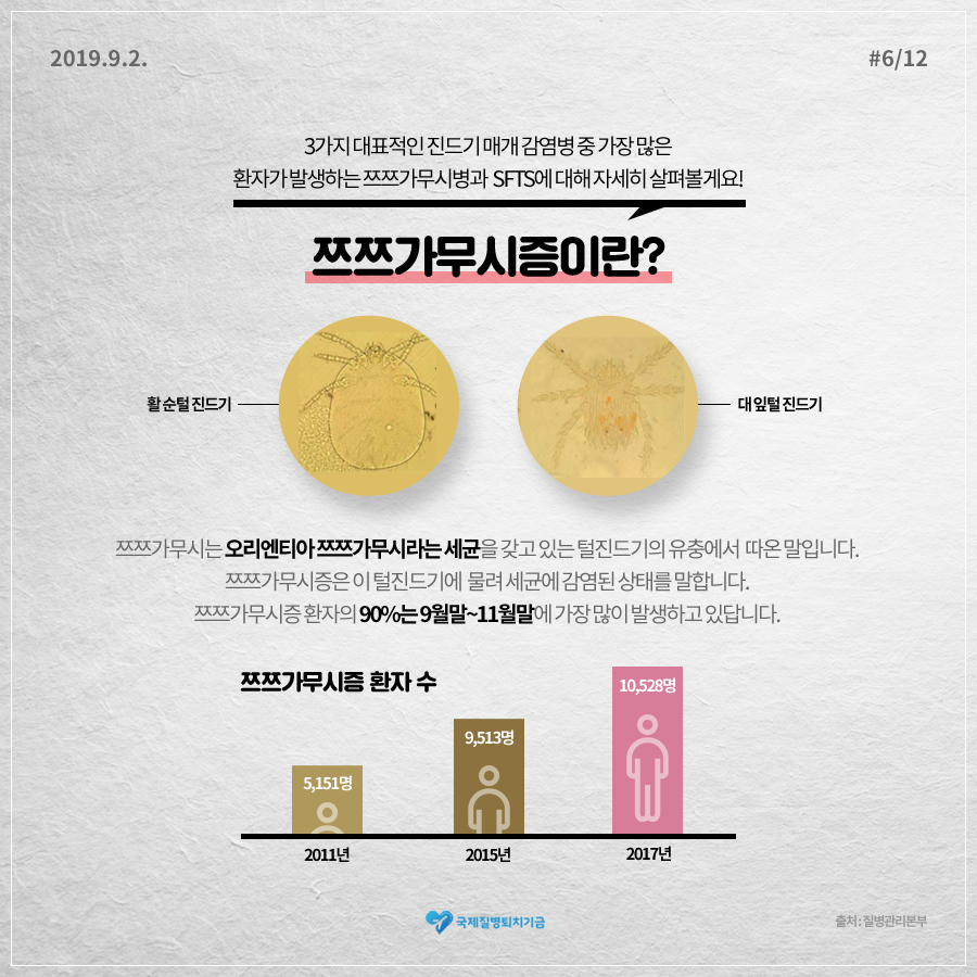 쯔쯔가무시증 9월말에서 11월말이 가장 많이 발생