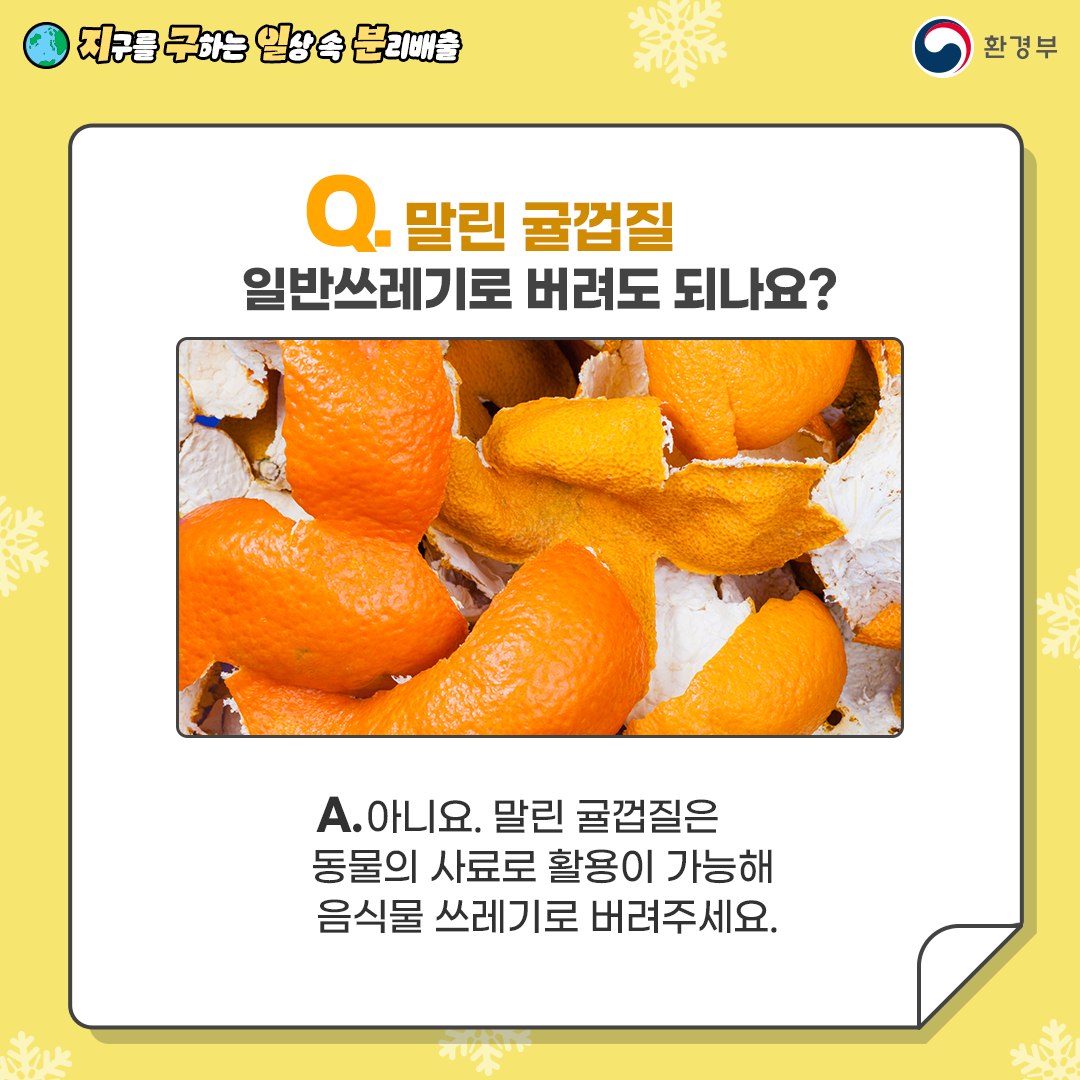 [지구를 구하는 일상 속 분리배출 | 환경부] Q. 말린 귤껍질 일반쓰레기로 버려도 되나요? [말린 귤 껍질 사진] A. 아니요. 말린 귤껍질은 동물의 사료로 활용이 가능해 음식물 쓰레기로 버려주세요.